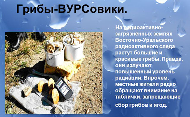 Кыштымская авария, восточно-уральский радиоактивный след